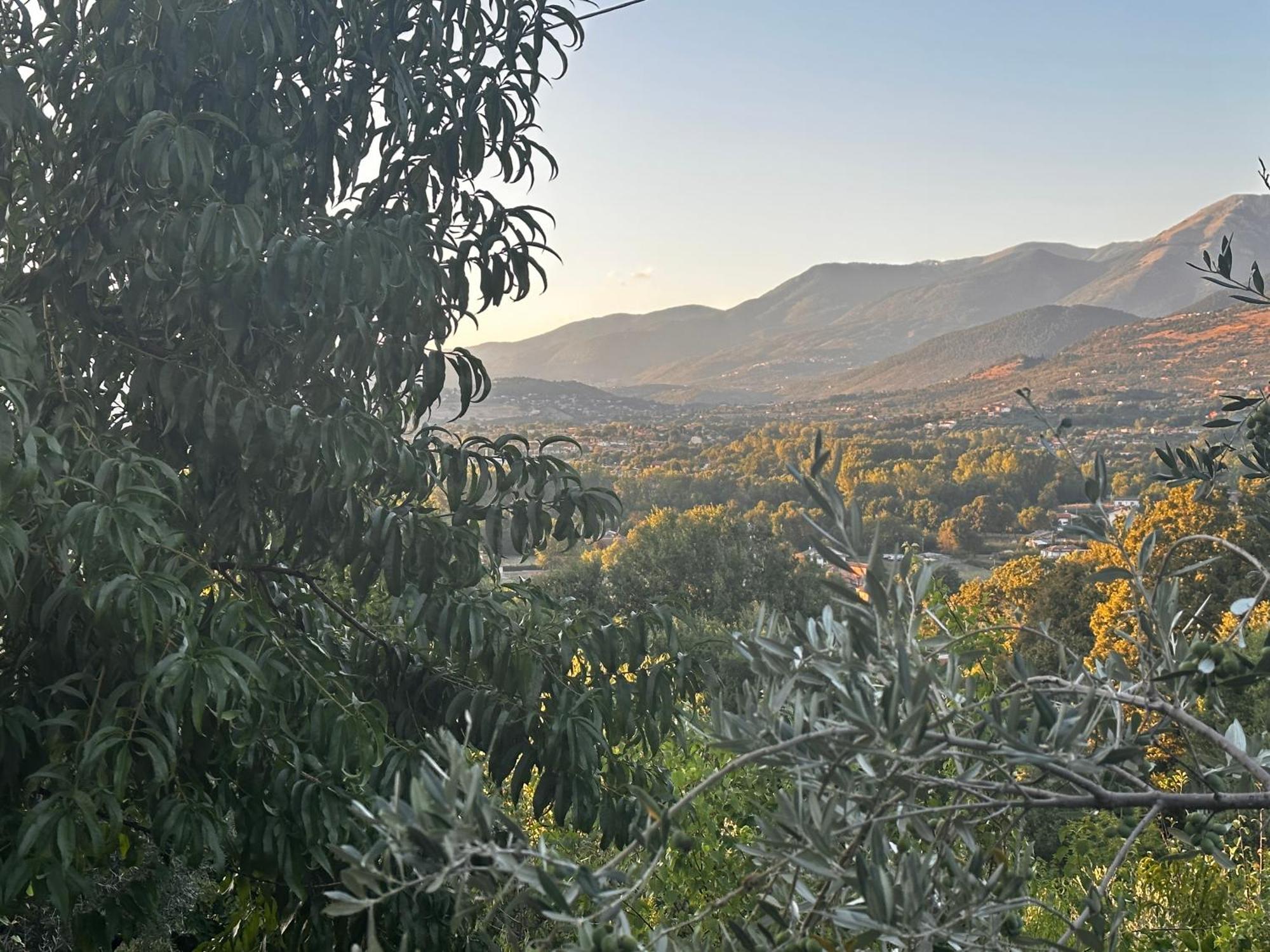 La Casa In Collina Daire Veroli Dış mekan fotoğraf