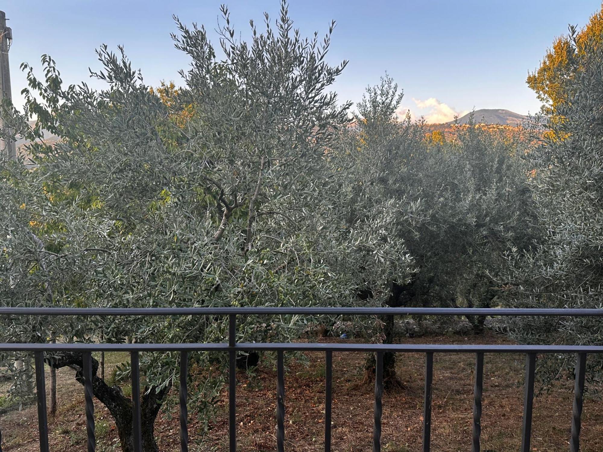 La Casa In Collina Daire Veroli Dış mekan fotoğraf